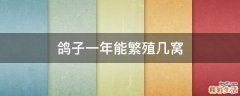 鸽子一年能繁殖几窝