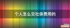 个人怎么交社保费用的