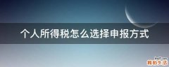 个人所得税怎么选择申报方式