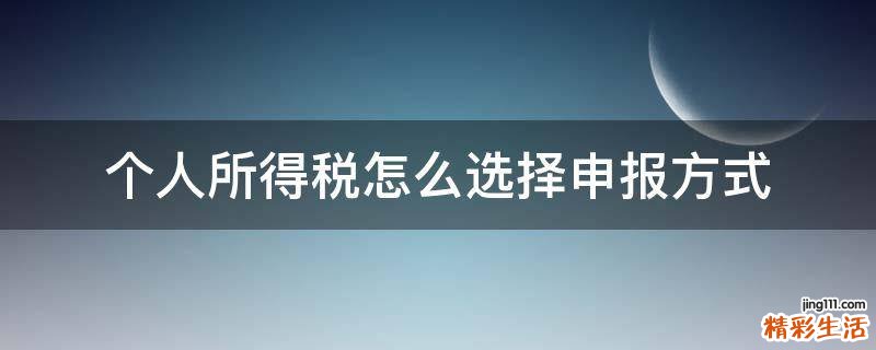 个人所得税怎么选择申报方式