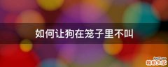 如何让狗在笼子里不叫