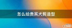 怎么给贵宾犬剪造型