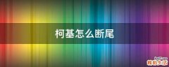 柯基怎么断尾