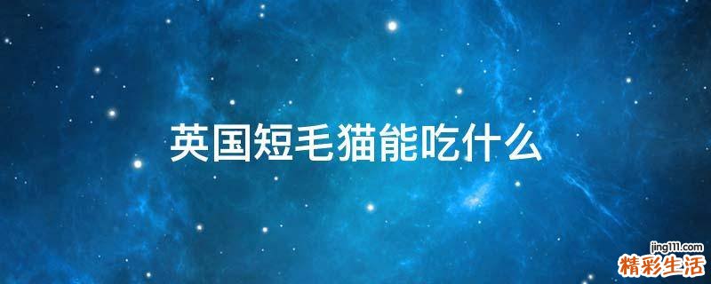 英国短毛猫能吃什么