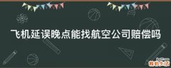 飞机延误晚点能找航空公司赔偿吗