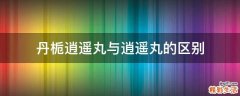 丹栀逍遥丸与逍遥丸的区别