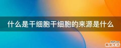 什么是干细胞干细胞的来源是什么