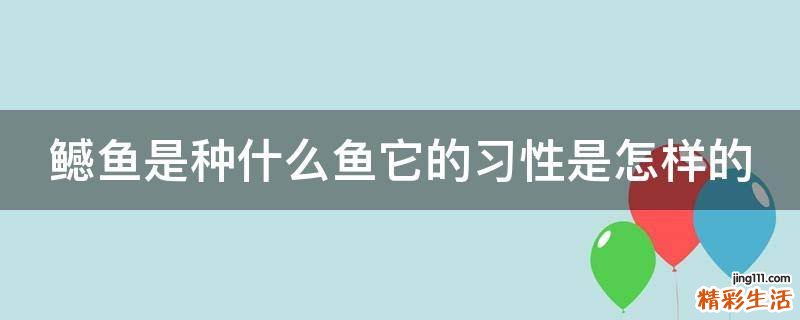 鳡鱼是种什么鱼它的习性是怎样的