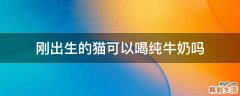 刚出生的猫可以喝纯牛奶吗