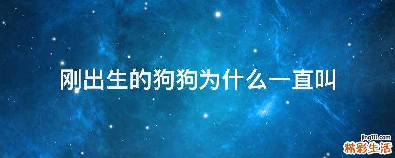刚出生的狗狗为什么一直叫