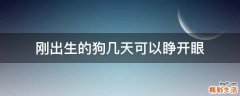 刚出生的狗几天可以睁开眼