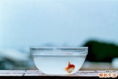 2 拥有3种心理 面试官瞬间看上你