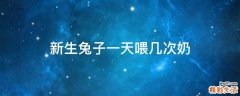 新生兔子一天喂几次奶