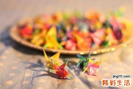 紫金莲
