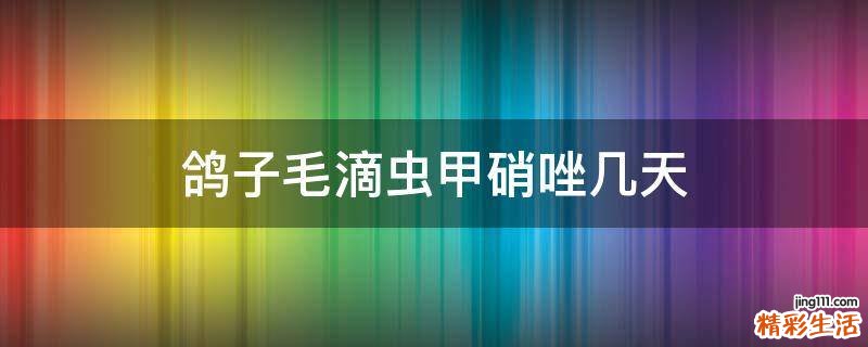 鸽子毛滴虫甲硝唑几天