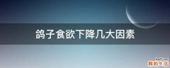 鸽子食欲下降几大因素