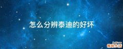 怎么分辨泰迪的好坏