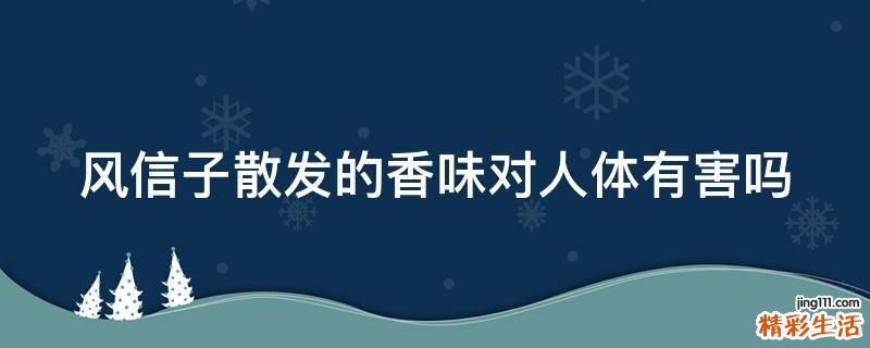 风信子散发的香味对人体有害吗