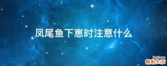 凤尾鱼下崽时注意什么
