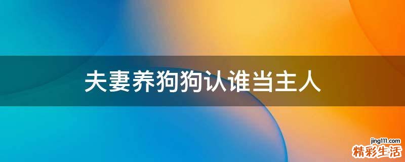 夫妻养狗狗认谁当主人