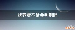 抚养费不给会判刑吗