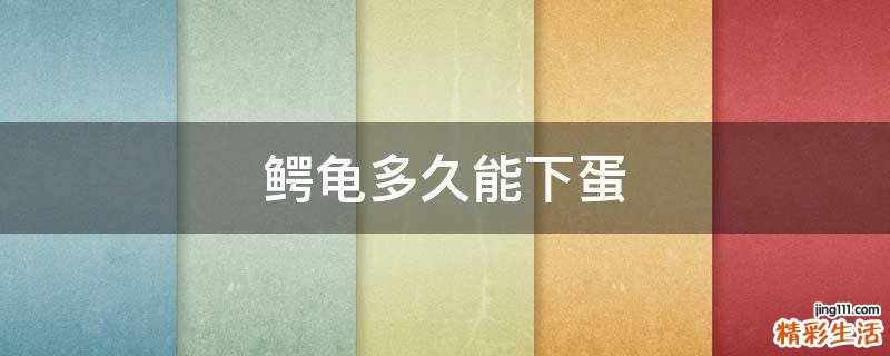 鳄龟多久能下蛋