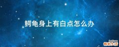 鳄龟身上有白点怎么办