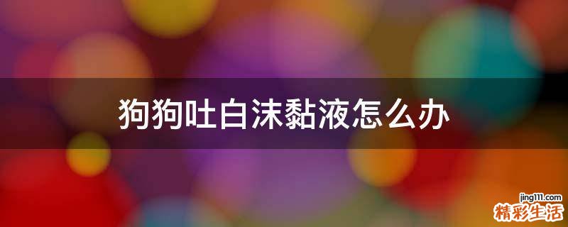 狗狗吐白沫黏液怎么办