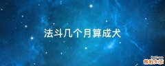 法斗几个月算成犬