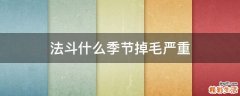 法斗什么季节掉毛严重