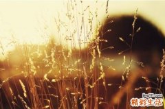 胃舒宁颗粒