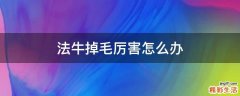 法牛掉毛厉害怎么办