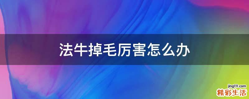 法牛掉毛厉害怎么办