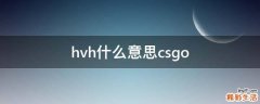 hvh什么意思csgo