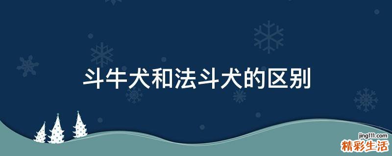 斗牛犬和法斗犬的区别
