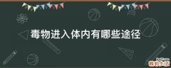 毒物进入体内有哪些途径