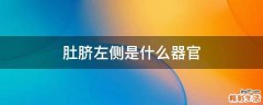 肚脐左侧是什么器官