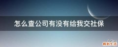 怎么查公司有没有给我交社保