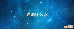猫喝什么水