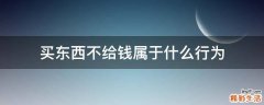 买东西不给钱属于什么行为