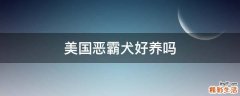 美国恶霸犬好养吗
