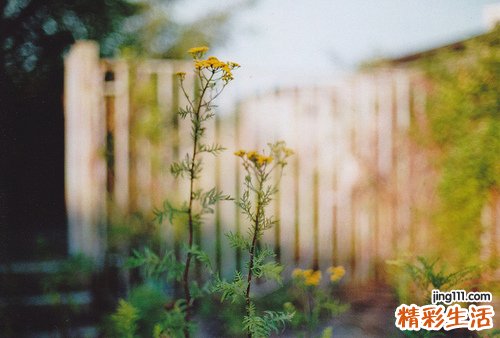 不化妆也可以美美哒