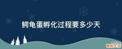鳄龟蛋孵化过程要多少天