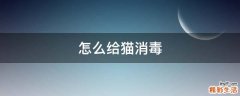 怎么给猫消毒