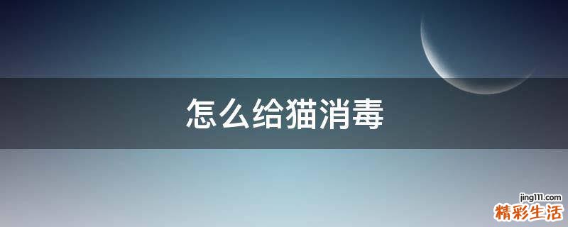 怎么给猫消毒