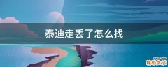 泰迪走丢了怎么找