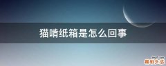 猫啃纸箱是怎么回事