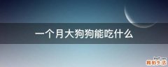 一个月大狗狗能吃什么