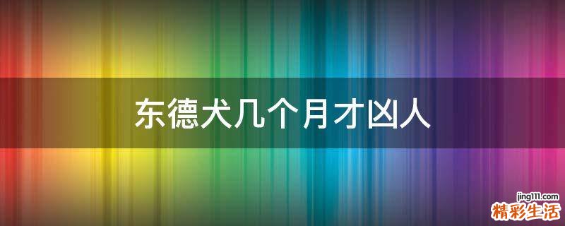 东德犬几个月才凶人