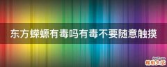 东方蝾螈有毒吗有毒不要随意触摸
